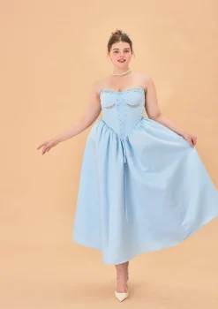 Curve & Plus Cinderella Dress Ⅱ