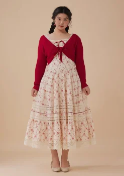 Curve & Plus Red Garnet Corset Dress