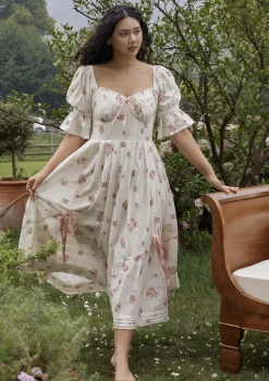 Curve & Plus Rose's Smile Corset Dress Ⅱ