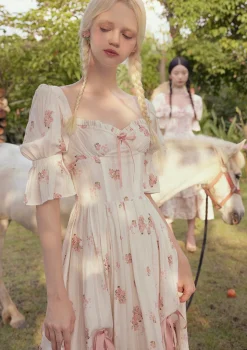 Rose's Smile Corset Dress Ⅱ
